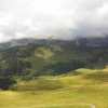 Hahnenmoos